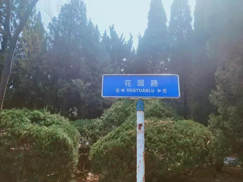 陪你走过沿途的风景,陪你走过每段路