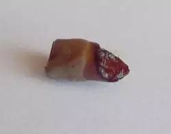 男子一天喝了24罐红牛的下场,男子喝5瓶红牛后惊人的一幕