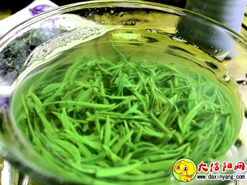 信阳九峰茶业有限公司,信阳曾静