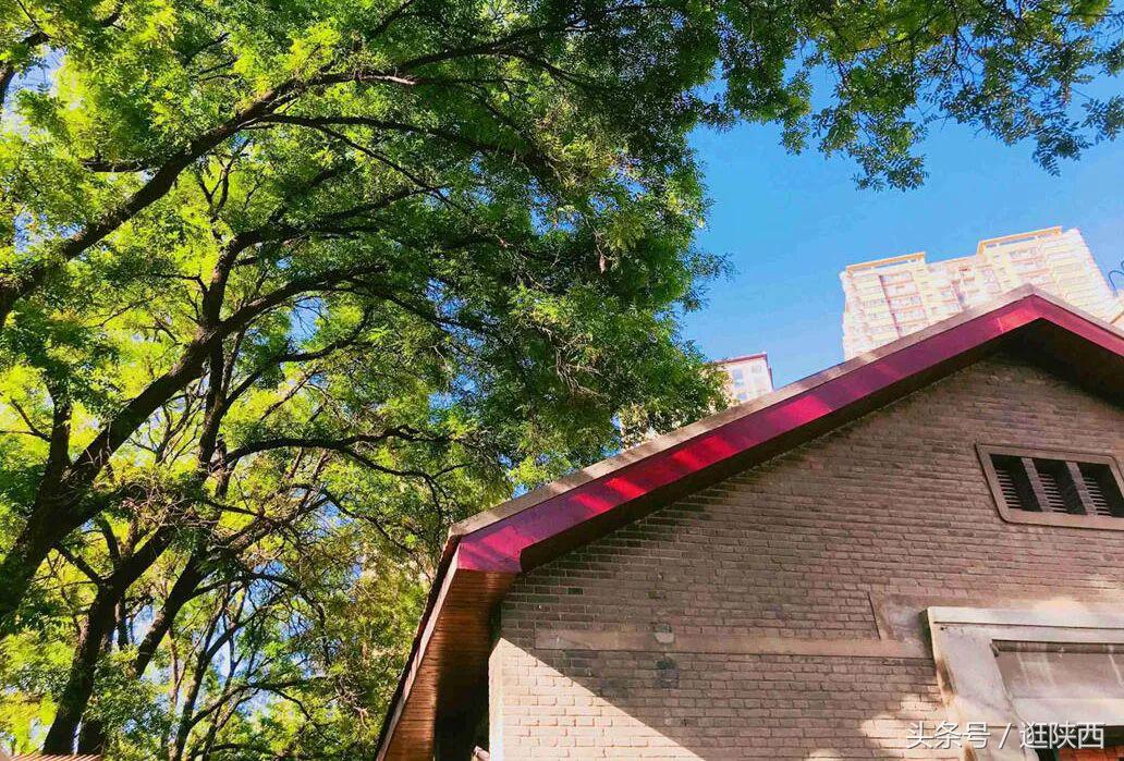 纺织城的公办幼儿园,纺织城最好的幼儿园