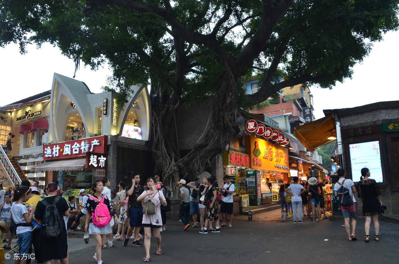 东山帐篷生态酒店左耳厦门民宿猫街第一爆改夫妻档他们改过的房子