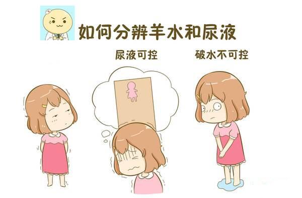 羊水破了是什么感觉？破水和漏尿的区别有哪些？孕妈需了解！