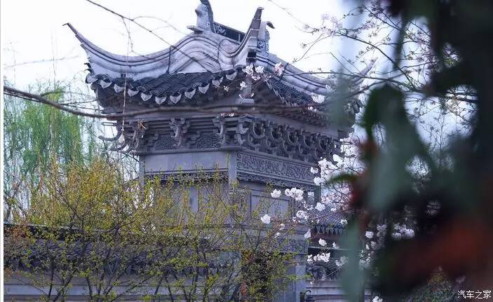 江浙寻花事,东南dx3自驾游