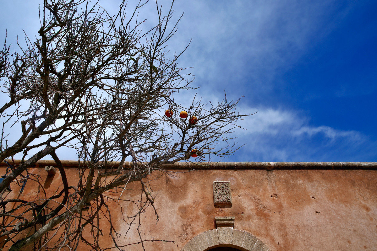 摩洛哥人人都听过的歌,摩洛哥一切皆有可能