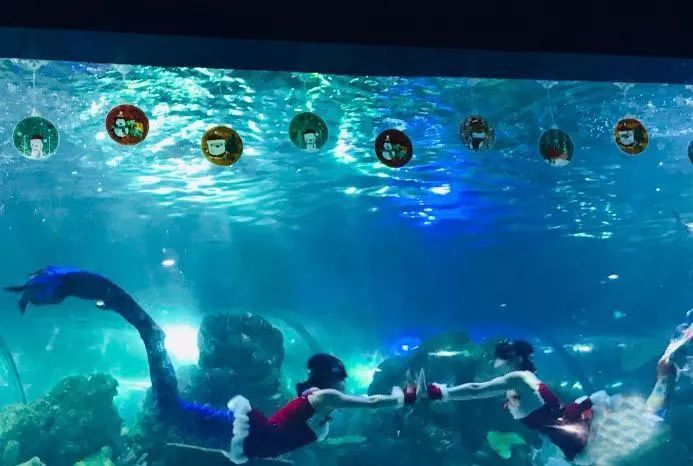 重庆五一假期亲子去哪玩,重庆假期亲子游玩推荐