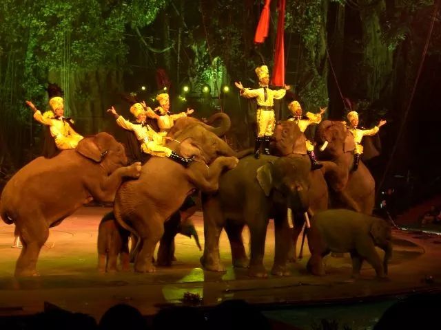 珠海海洋公园项目,2022年珠海国家战略填海工程