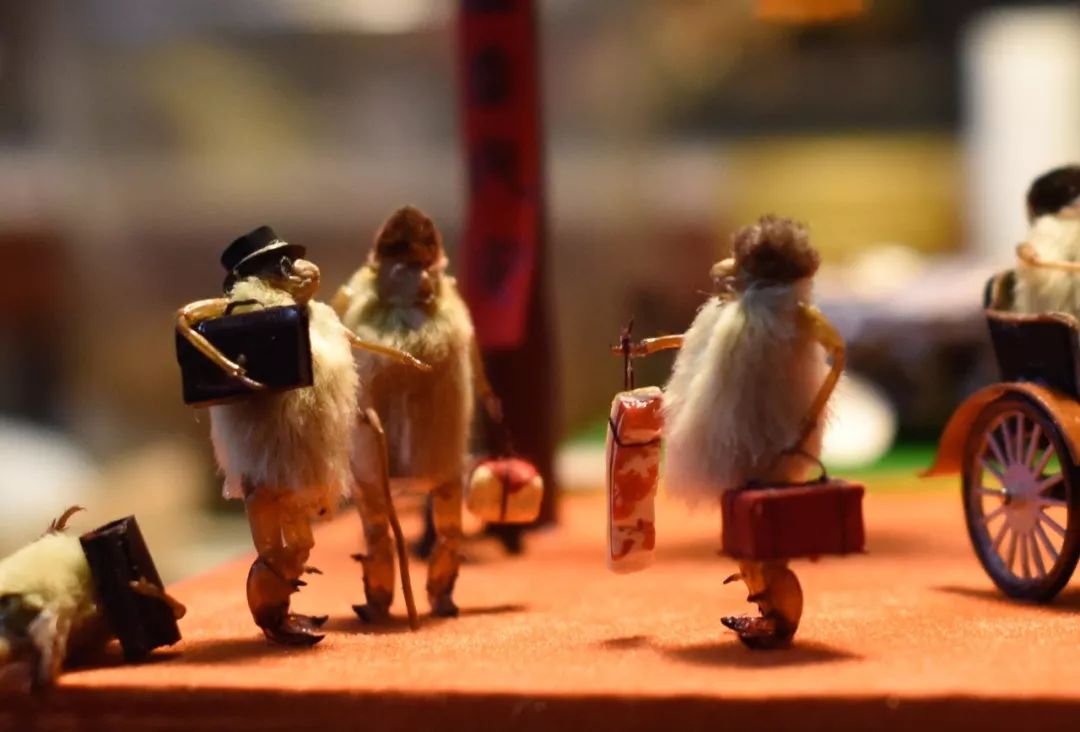 他拜师曹雪芹后人，将虫壳、玉兰变成立体漫画！