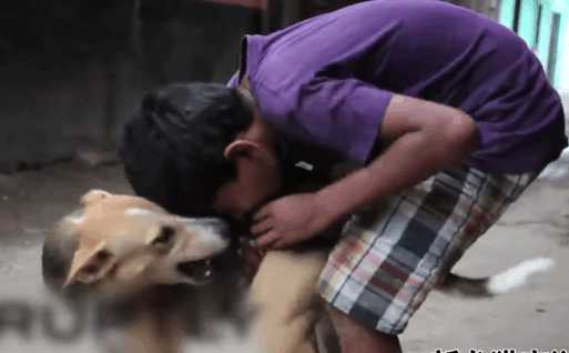 男子疯狂迷恋流浪狗,外国小伙喂食流浪狗