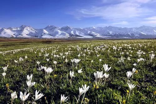 五一游玩小短文一年级,五一游玩的小短文50字