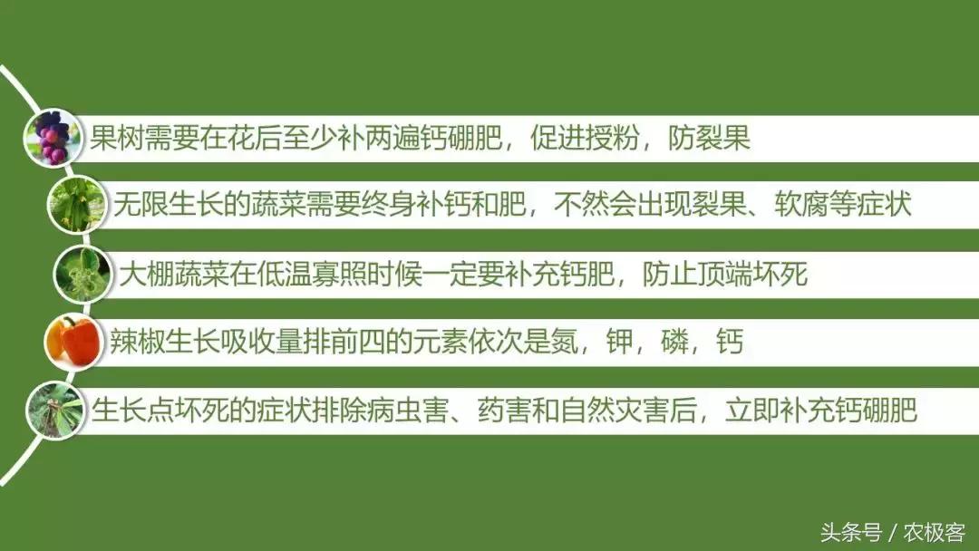 钙硼水溶肥使用方法,看完很受启发的感悟