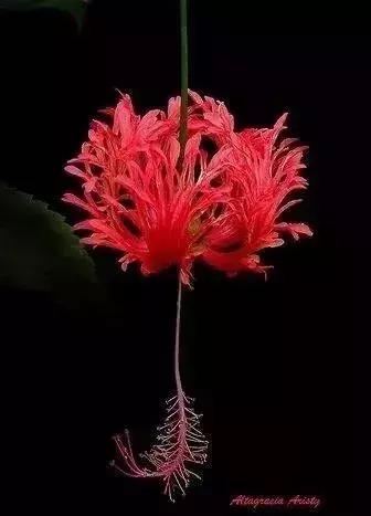 五一聚会的图片可保存,五一微信群图片