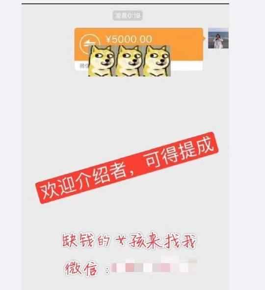 女大学生捐卵案完整,女大学生捐卵有什么危害