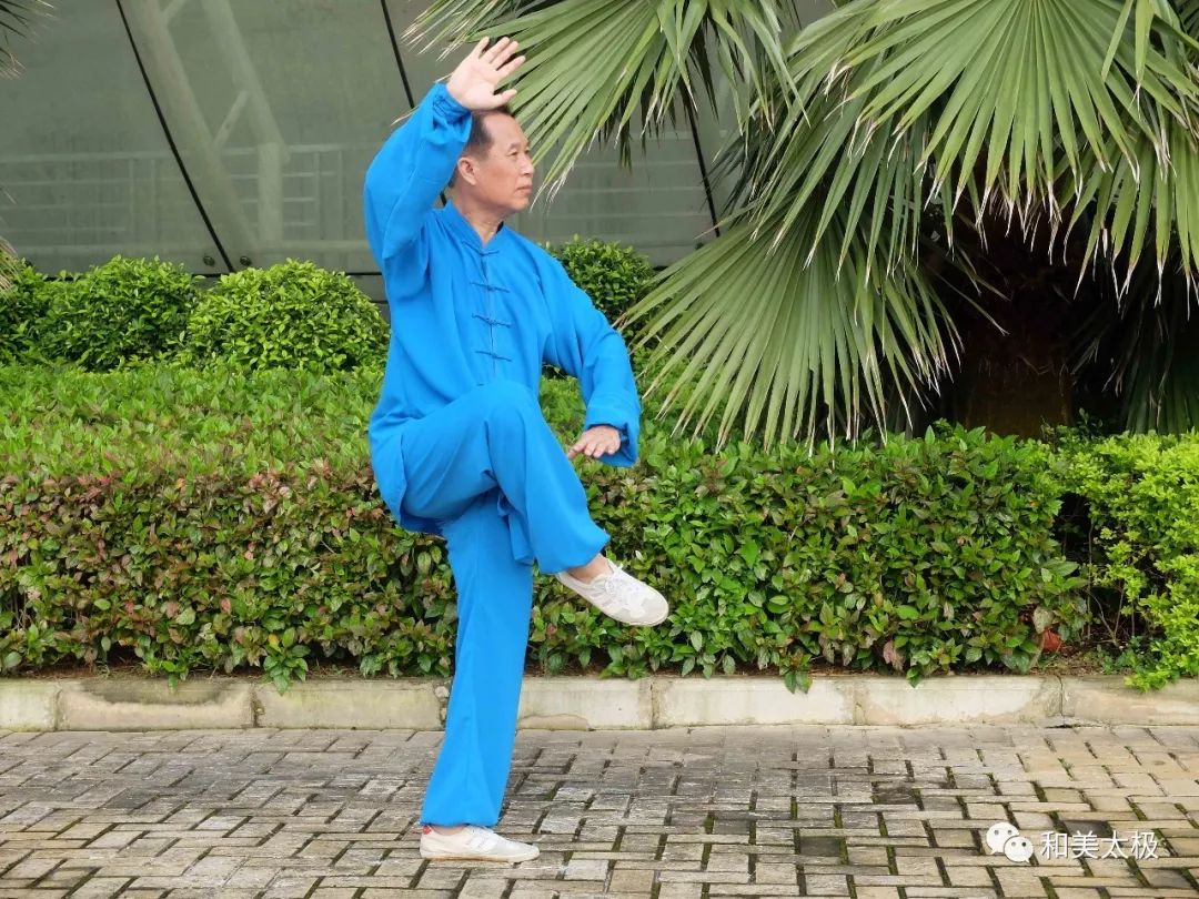 陈雄杨式太极拳基本功讲解,陈雄聊太极拳视频全集