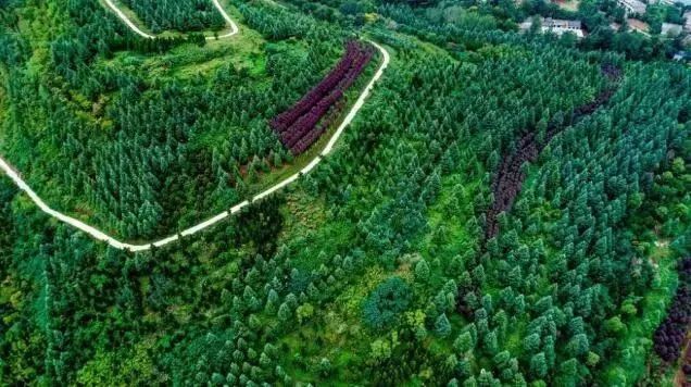 西安周边城市绝美景色旅游地点,西安出发五一4天自驾游路线推荐