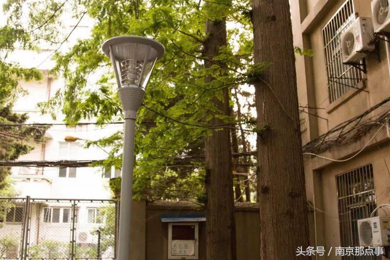 南京师大紫金校区,南师紫金