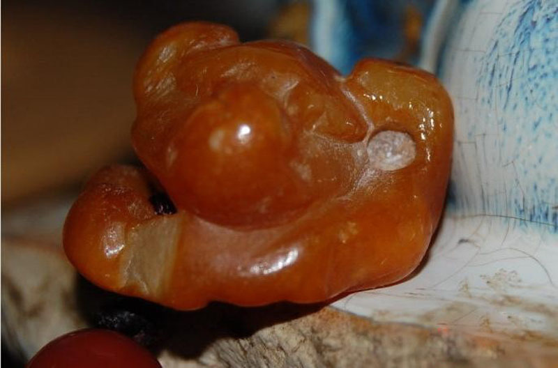 白猿可以活多少年,白猿多大