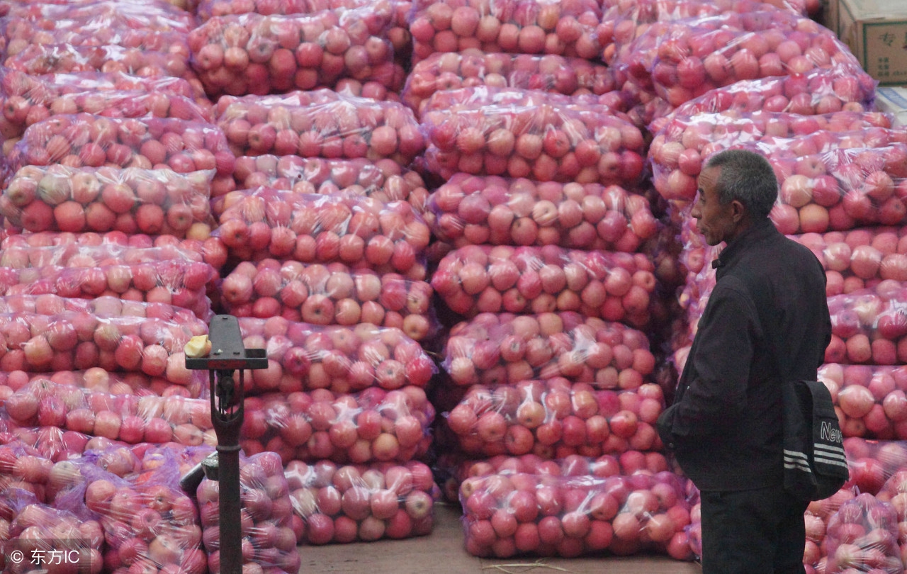 冷库红富士苹果的价格,运城红富士苹果