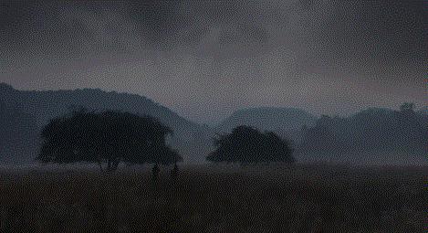 假期一定要给孩子看的20部纪录片,12部适合和孩子一起看的纪录片