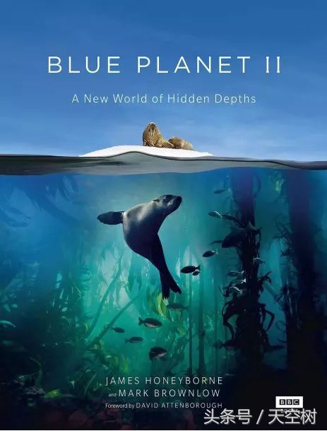 假期一定要给孩子看的20部纪录片,12部适合和孩子一起看的纪录片