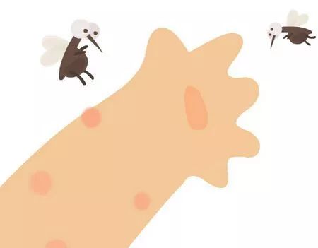 如何区分湿疹和蚊虫叮咬过敏,蚊虫叮咬引起的湿疹是怎么样的