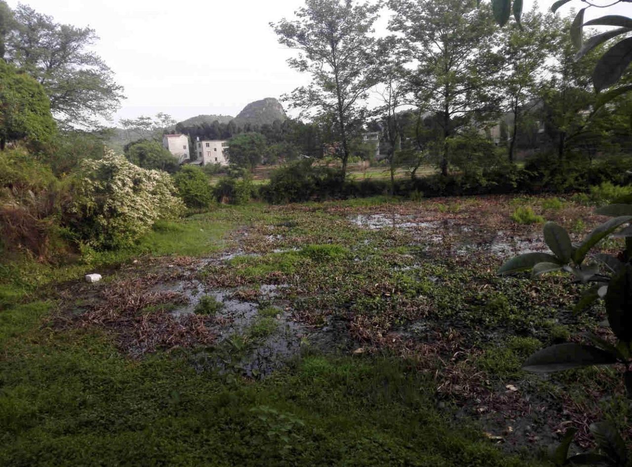 全州古村落大路底,全州传统村落