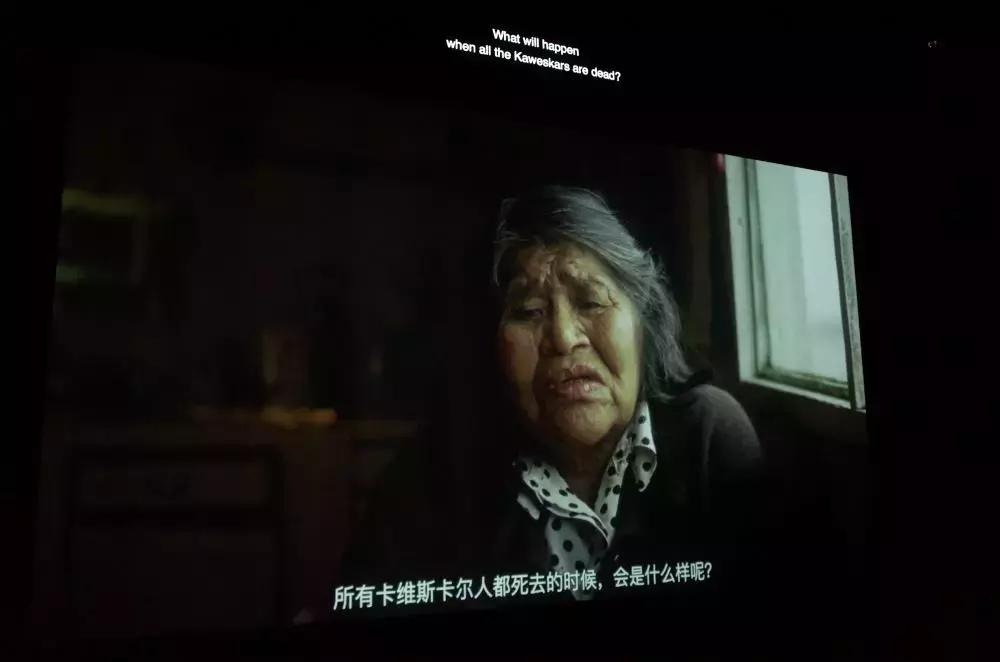 卡地亚当代艺术基金会建筑设计,卡地亚当代艺术