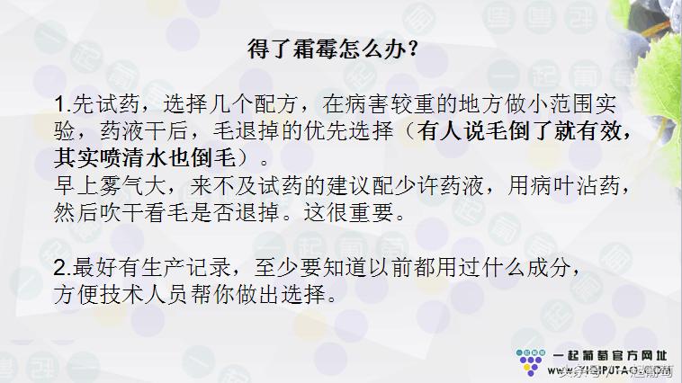 葡萄霜霉病的发生和防治,葡萄霜霉病严重发生怎么治疗