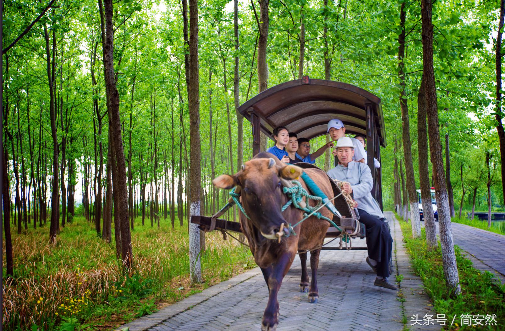 姝︽眽鑷┚涔岄晣瑗垮,姝︽眽鑷┚涔岄晣