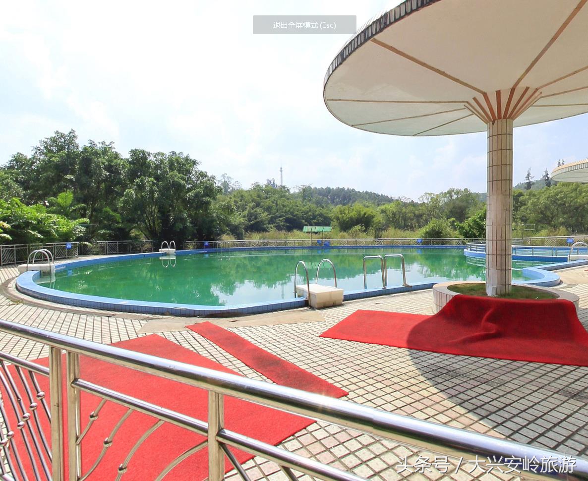 南宁良凤江国家森林公园菩提树,南宁青秀山风景区天然氧吧