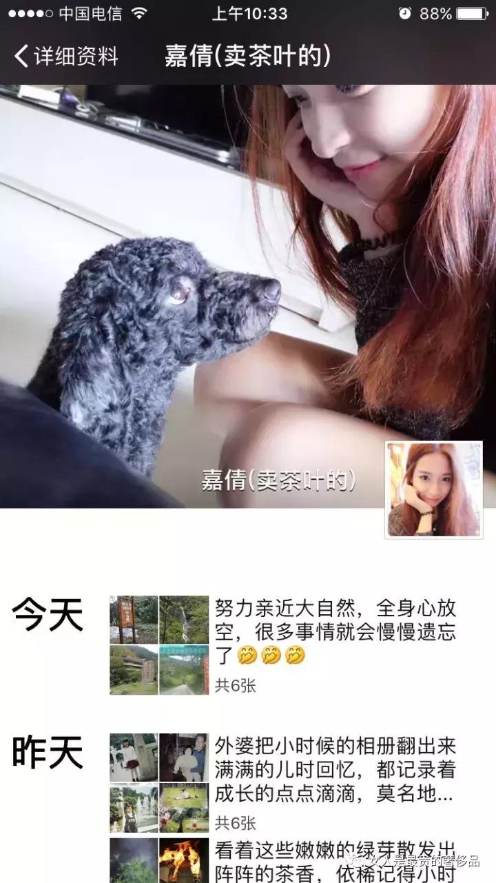 微信卖茶女套路大全,揭秘微信卖茶女