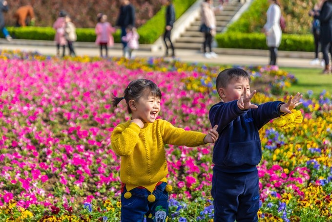 滁州花博园秋景,秋天滁州花博园图片