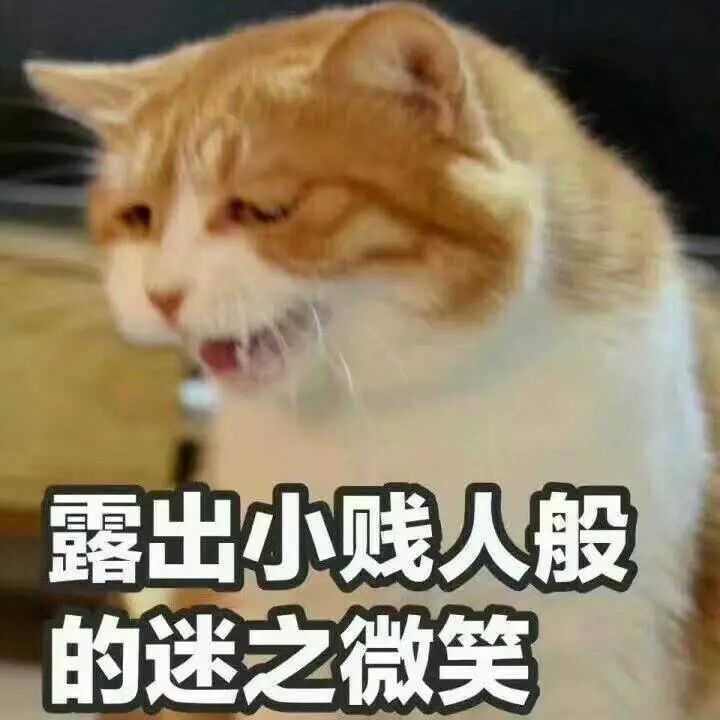 左青龙右白虎有句话怎么说的,左青龙右白虎社会语录