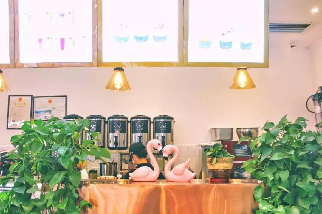 广西网红茶,爆款网红茶