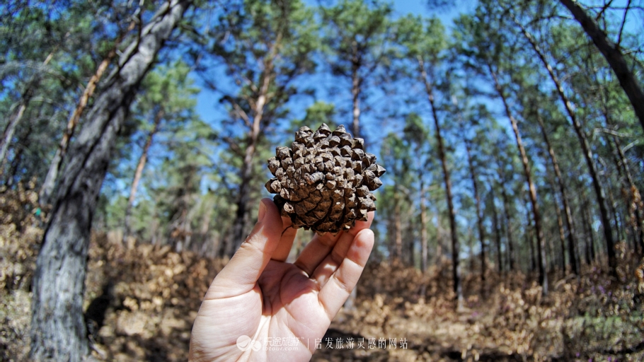 朴树冷门却很好听的歌,朴树适合西藏的歌