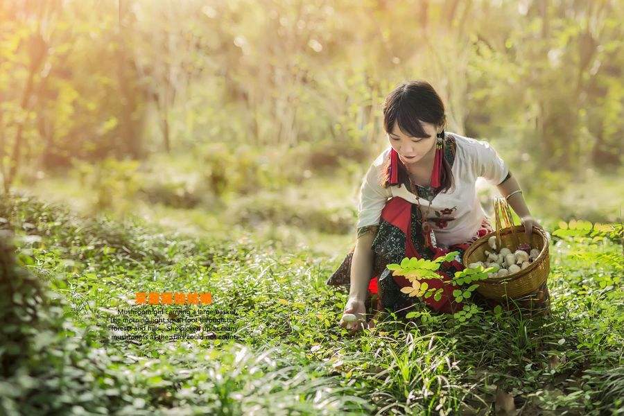 经典儿歌老歌300首音频,儿歌100首音频自动播放