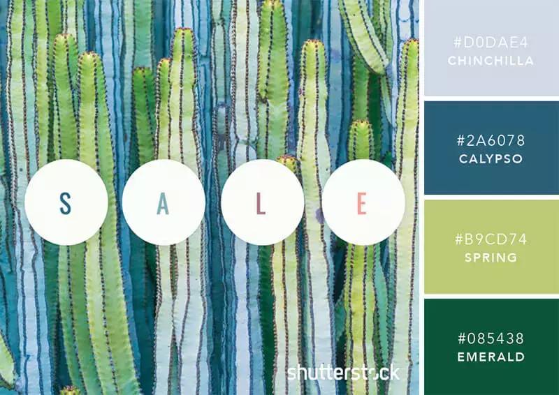 你知道彩虹是什么颜色吗,你知道彩虹的颜色吗英语翻译