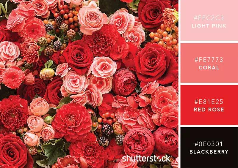 你知道彩虹是什么颜色吗,你知道彩虹的颜色吗英语翻译