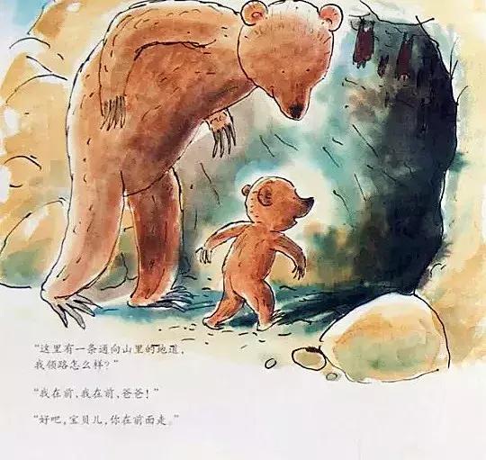 小熊和最好的爸爸长大了读后感,小熊和最好的爸爸一起长大了