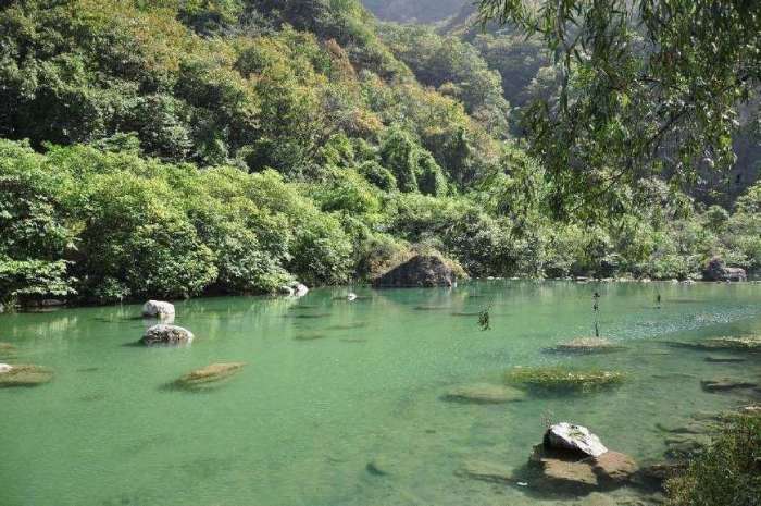 西南大学在山东的档次,西南大学2020年在山东招生分数线