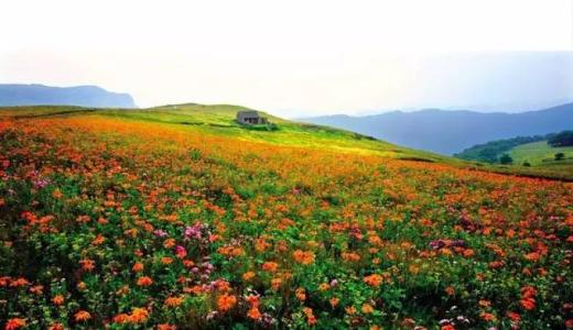 真正的翼城的口音,有趣的方言