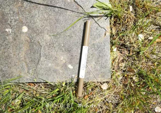 抖音种草护肤品推荐,名创优品护肤品推荐2024