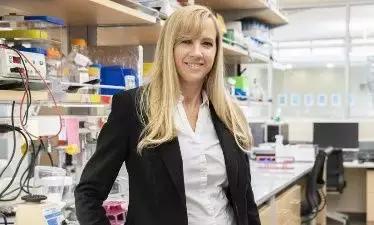 car-t治疗淋巴瘤的成功率,car-t细胞疗法治疗淋巴瘤价格