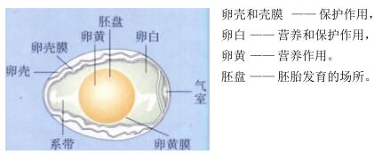 北师大版生物中考必背知识点,苏教版生物中考知识点总结填空版