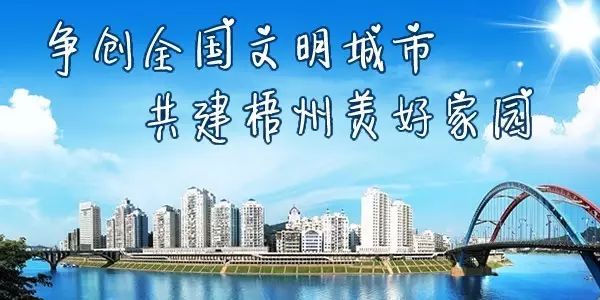 12306抢到了票但付款说没抢到,12306显示没票其他软件可以抢到吗