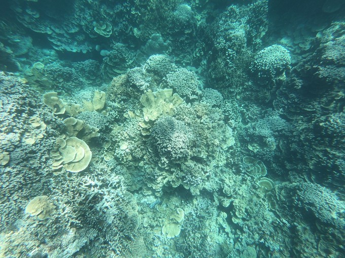 帕劳的海景风光给人美的享受,帕劳的海洋和沙滩风景图片