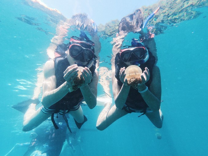 帕劳的海景风光给人美的享受,帕劳的海洋和沙滩风景图片