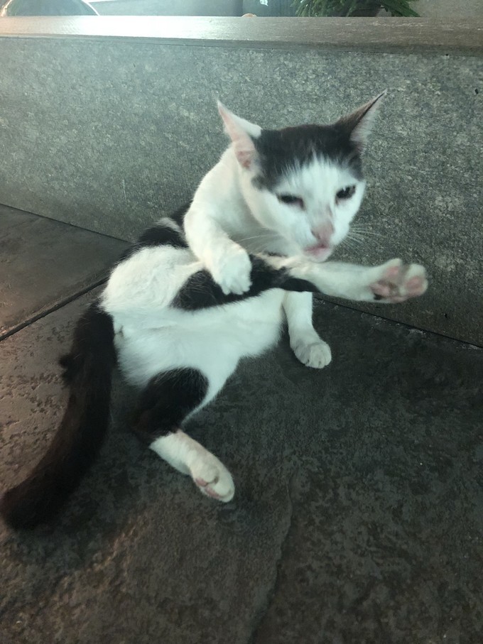 帕劳的海景风光给人美的享受,帕劳的海洋和沙滩风景图片