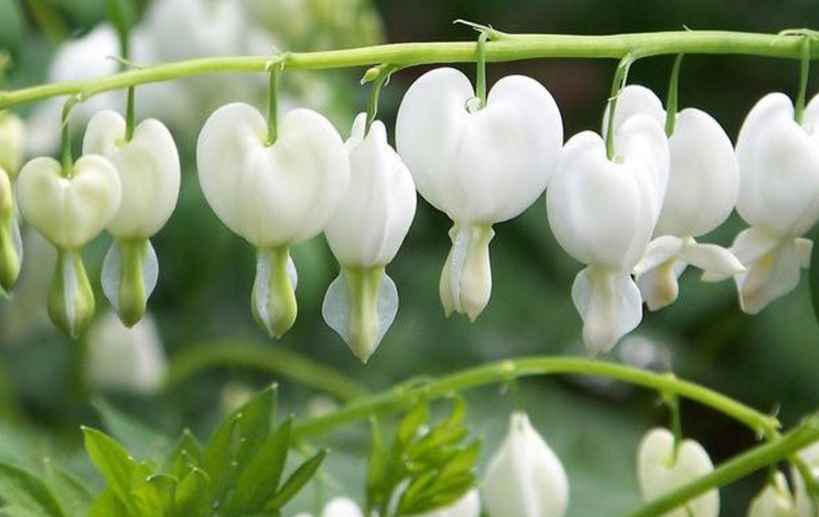 做人要有随遇而安的心态,做人进退有度随遇而安