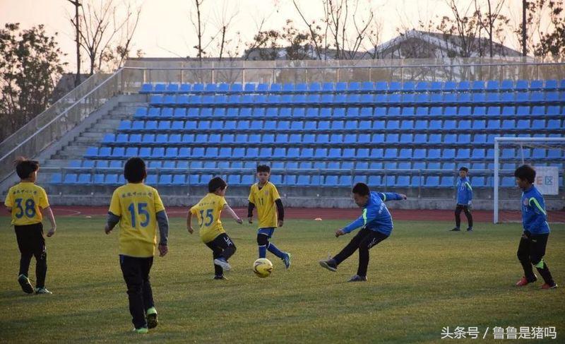 张家港市凤凰镇发展,张家港凤凰未来5年规划