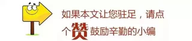 重庆渝北区小学划片一览表2021,重庆九龙坡区小学划片一览表